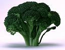 brocolli